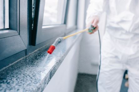 PestControlMasterton.co.nz