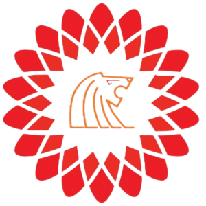 ITLION Software Solutions