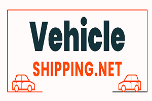 Vehicle Shipping Inc Laredo Logo