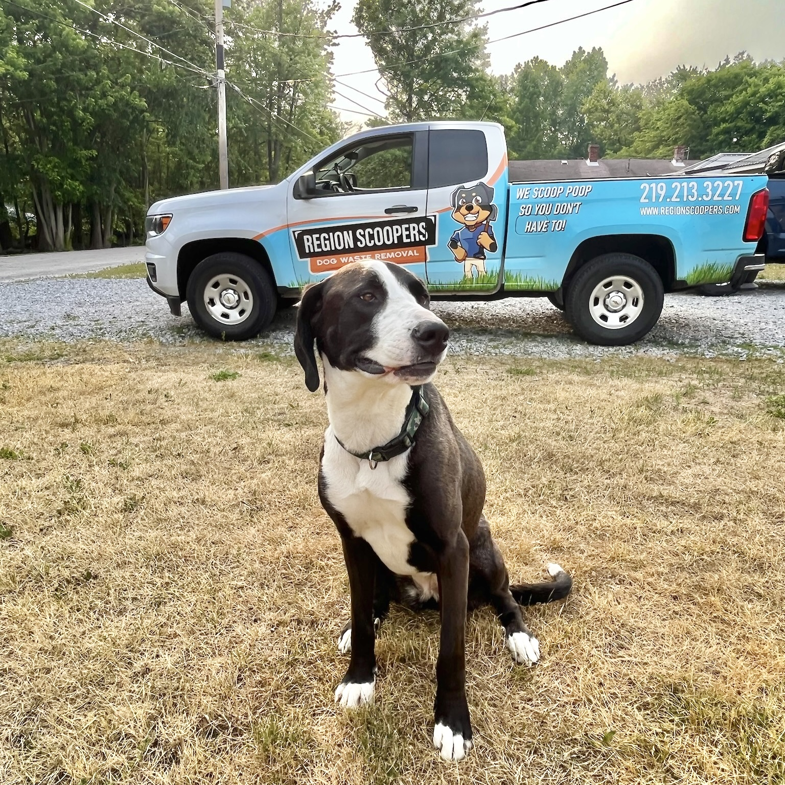 Company Logo For Region Scoopers Dog Waste Removal'