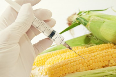 GMO Products