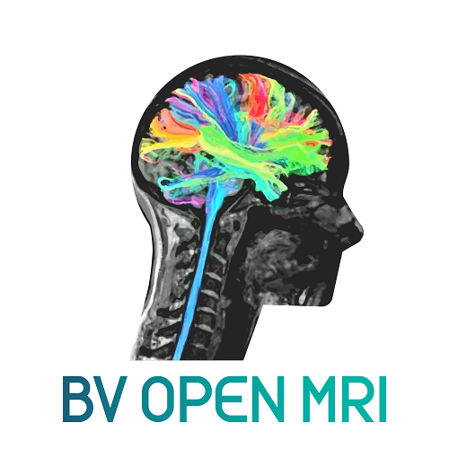 Company Logo For BV Open MRI'