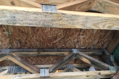 Mold Restoration'