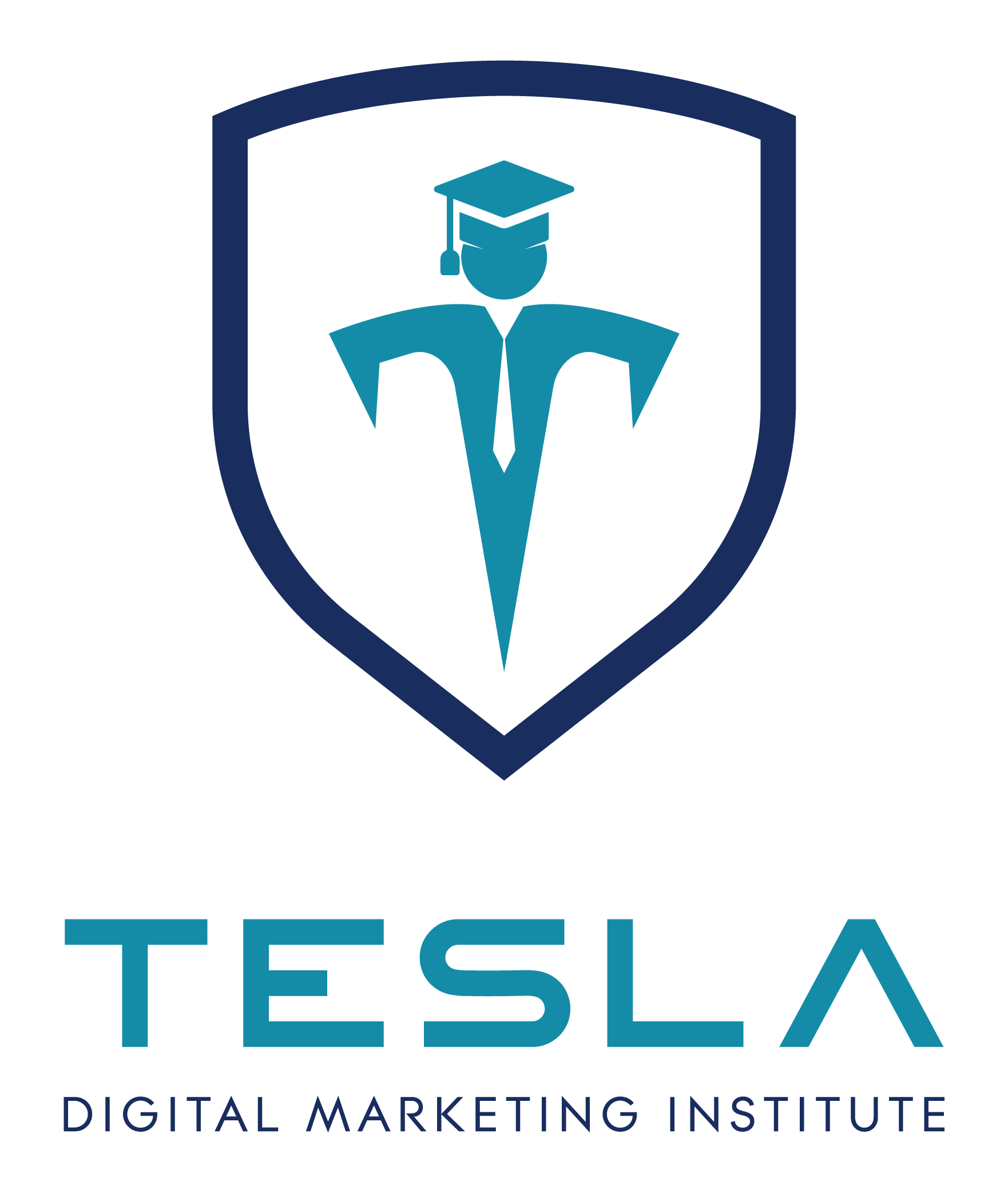 Company Logo For Tesla Digital Marketing Institute (Tesla DM'