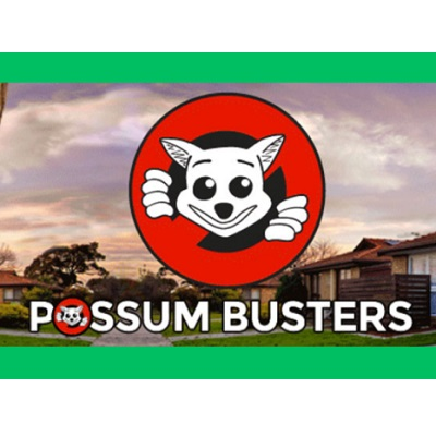 Possum Busters - Possum Removal - Corrimal
