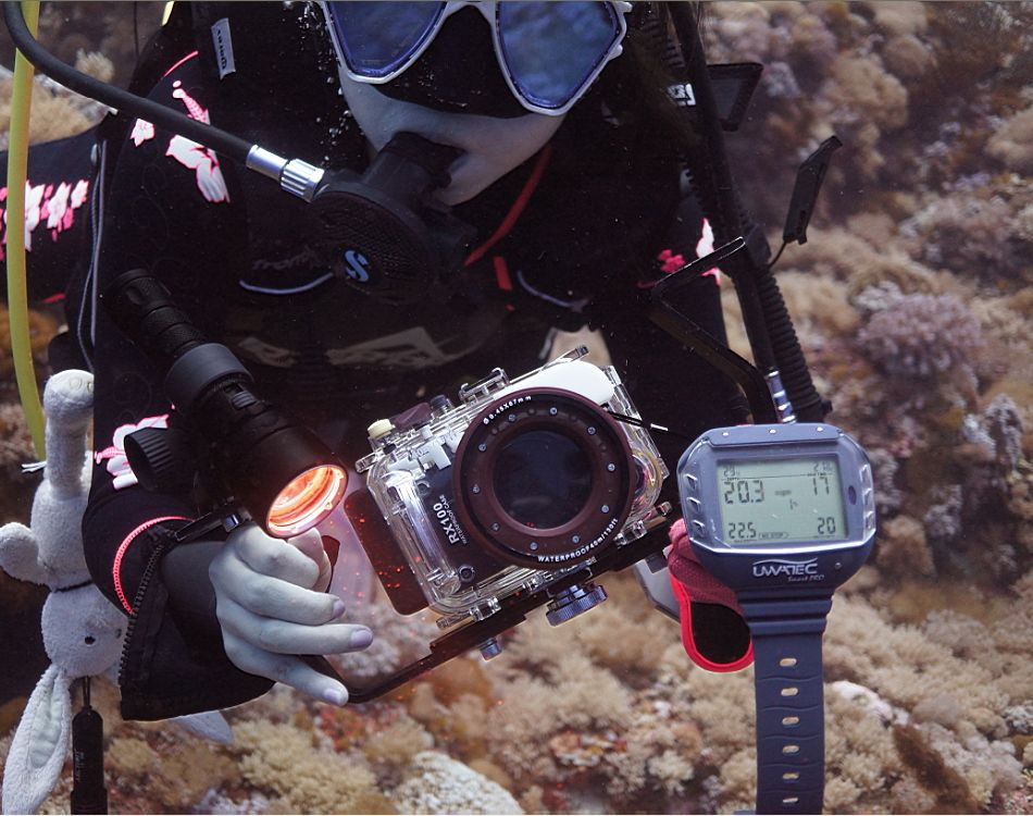 RX100 underwater casing'