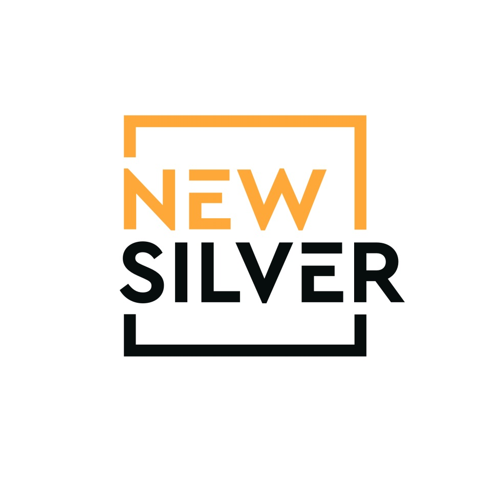 Company Logo For New Silver'