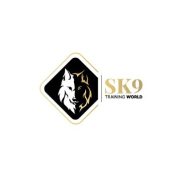 SK9 Training World