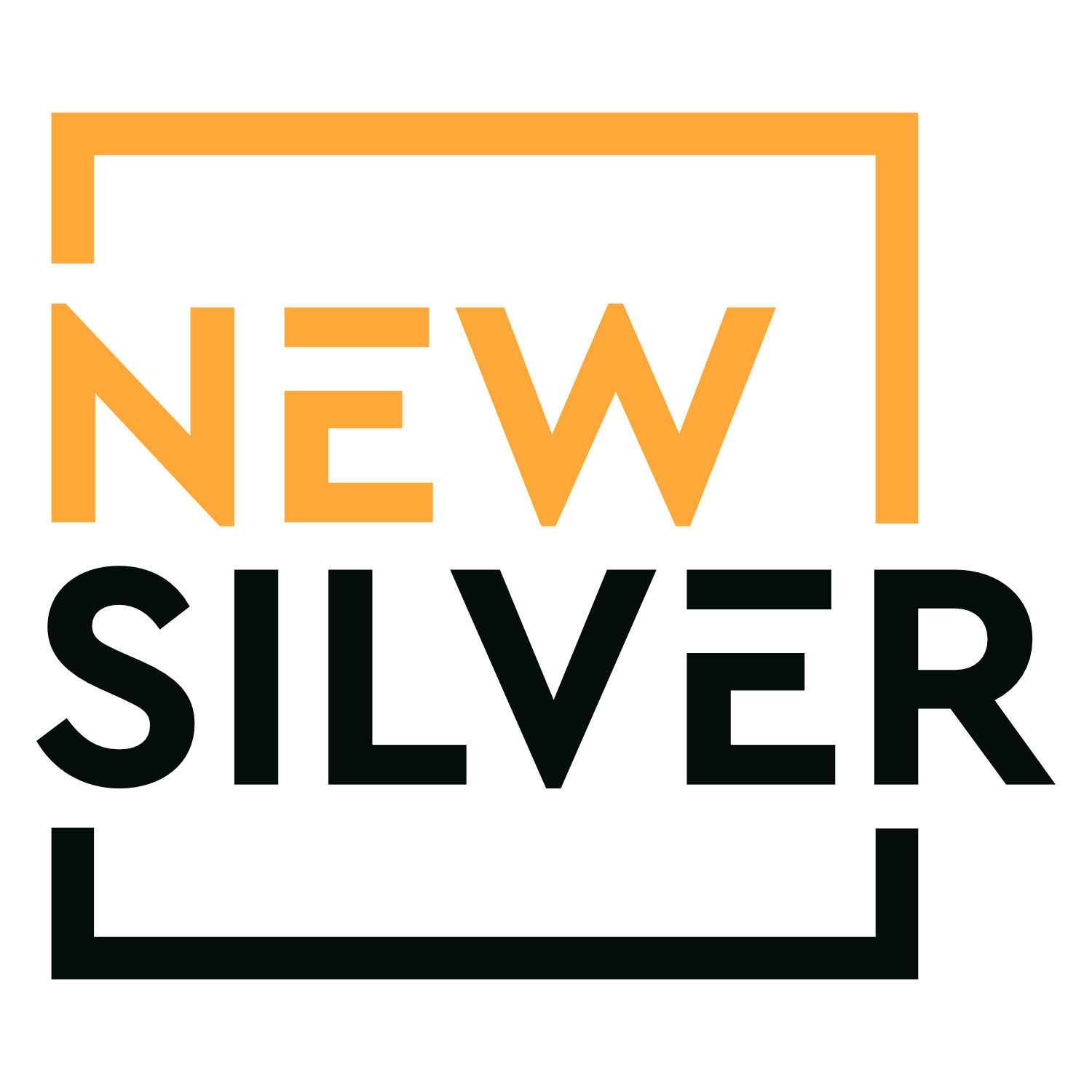 Company Logo For New Silver'