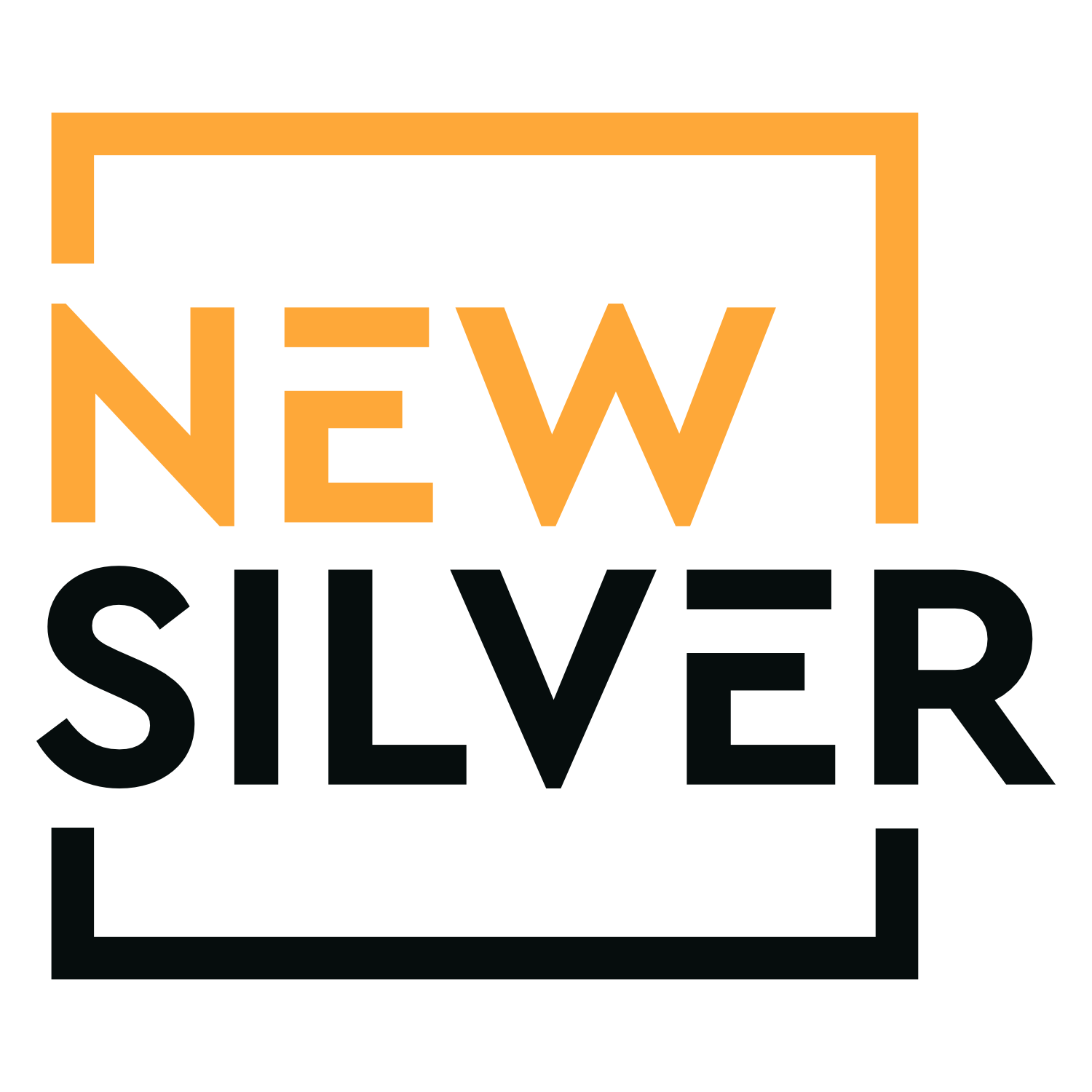 Company Logo For New Silver'