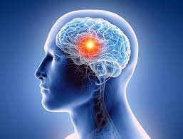 Brain Tumor Diagnosis and Treatments Market