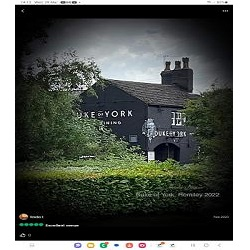 Company Logo For Duke of York'