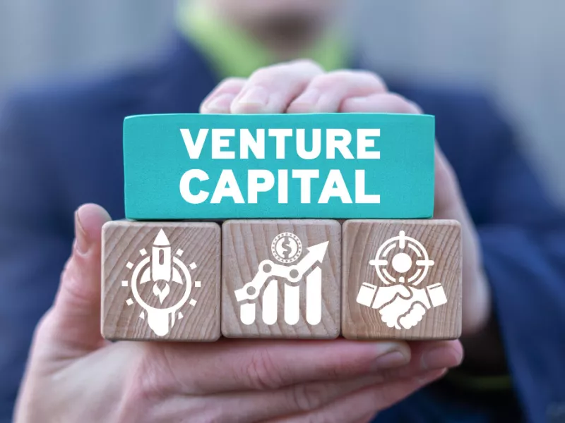 Venture Capital Investment Market'