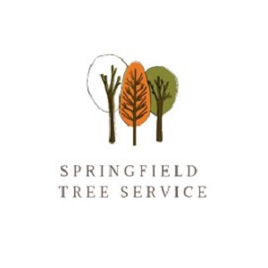 Company Logo For Springfield Tree Service Pros'