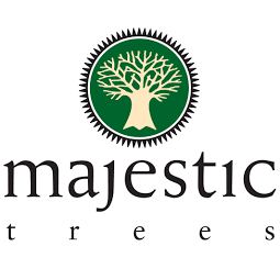 Majestic Trees Logo