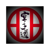 Snw Karate Chester Logo