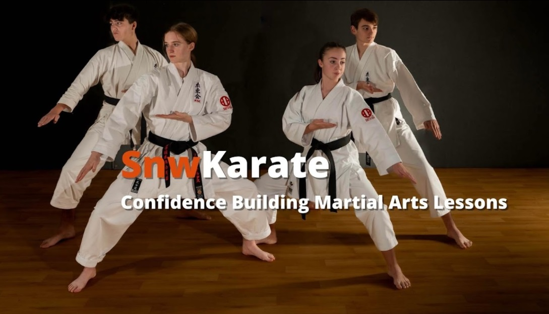 Company Logo For Snw Karate Chester'