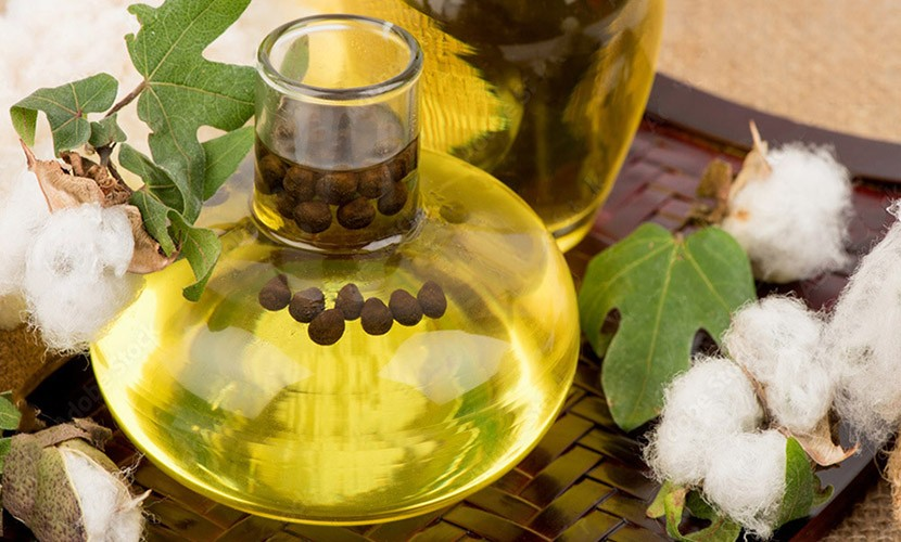 Cottonseed Oil Market'