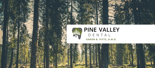 Company Logo For Pine Valley Dental'