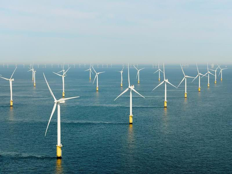 Wind Farm Operation Market