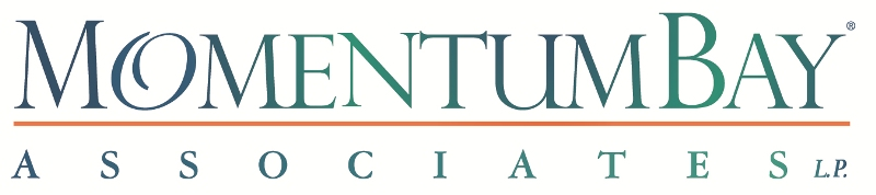 Momentum Bay logo'