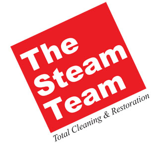 Company Logo For The Steam Team'