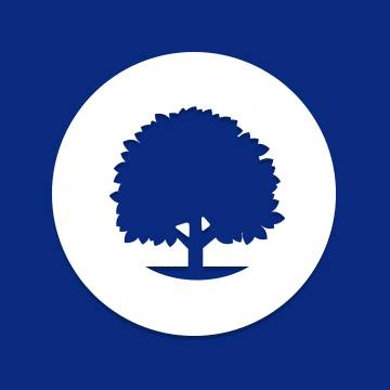 Copper Beech Greenville