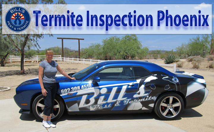 Company Logo For Bills Pest Termite Control'
