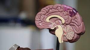 Neurodegenerative Diseases Market