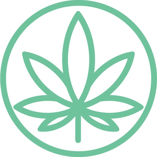 Cannabis Doc - New Port Richey Medical Marijuana Doctors & Marijuana Cards Logo