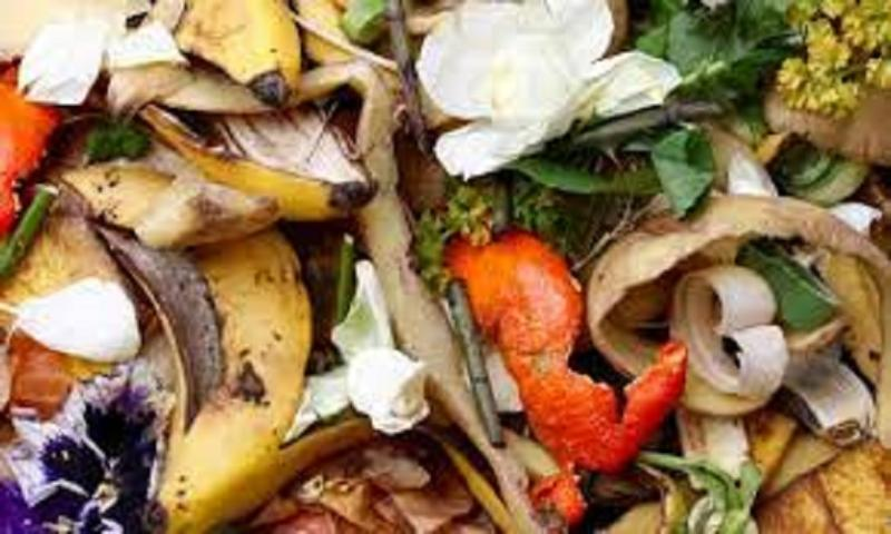 Vegetable Waste Product Market