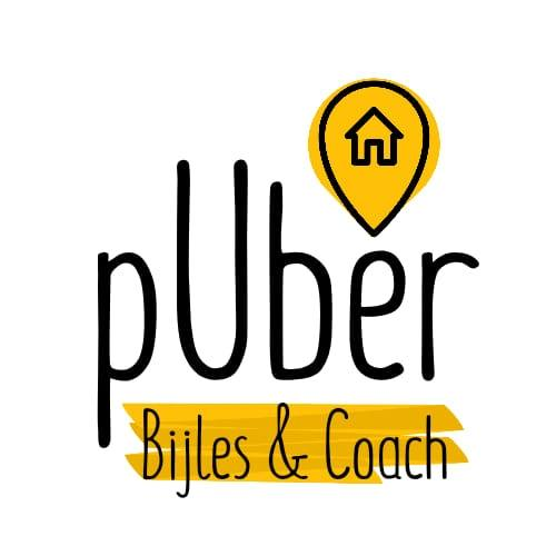 Company Logo For pUber bijles'