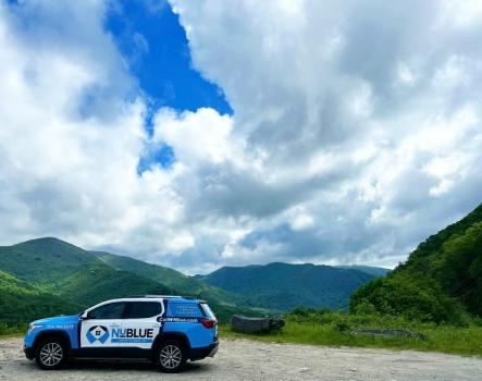 Company Logo For NuBlue Service Group'