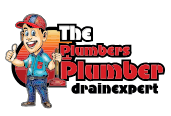 Company Logo For The Plumbers Plumber, Inc'