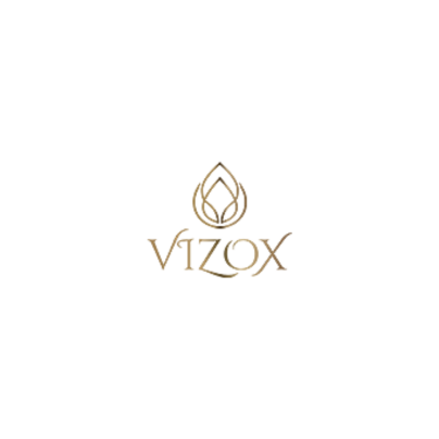 Vizox Clinique Premium Hair Transplant Clinic'