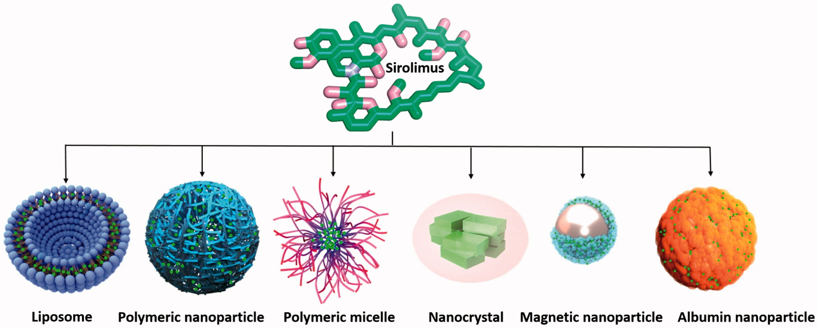 Sirolimus'