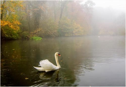 Company Photo For Wellness For Women'