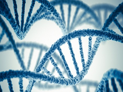 DNA Sequencing and Service Market'