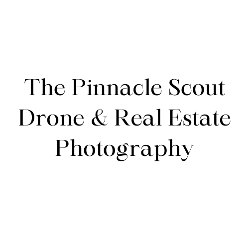 The Pinnacle Scout Drone & Real Estate Photography Logo
