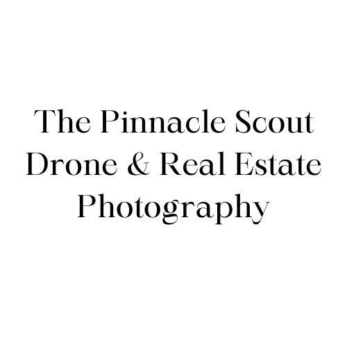 Company Logo For The Pinnacle Scout Drone &amp; Real Est'