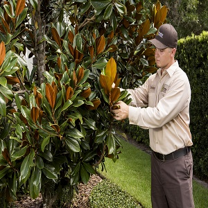 Company Logo For Drake Lawn &amp; Pest Control'