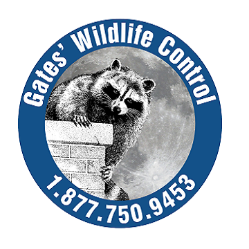 Company Logo For AAA Gates Wildlife Control'