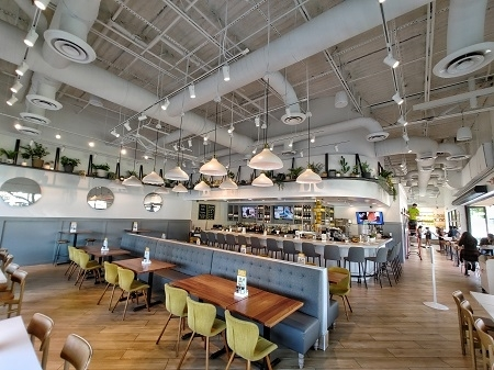 Company Logo For Dish Society'