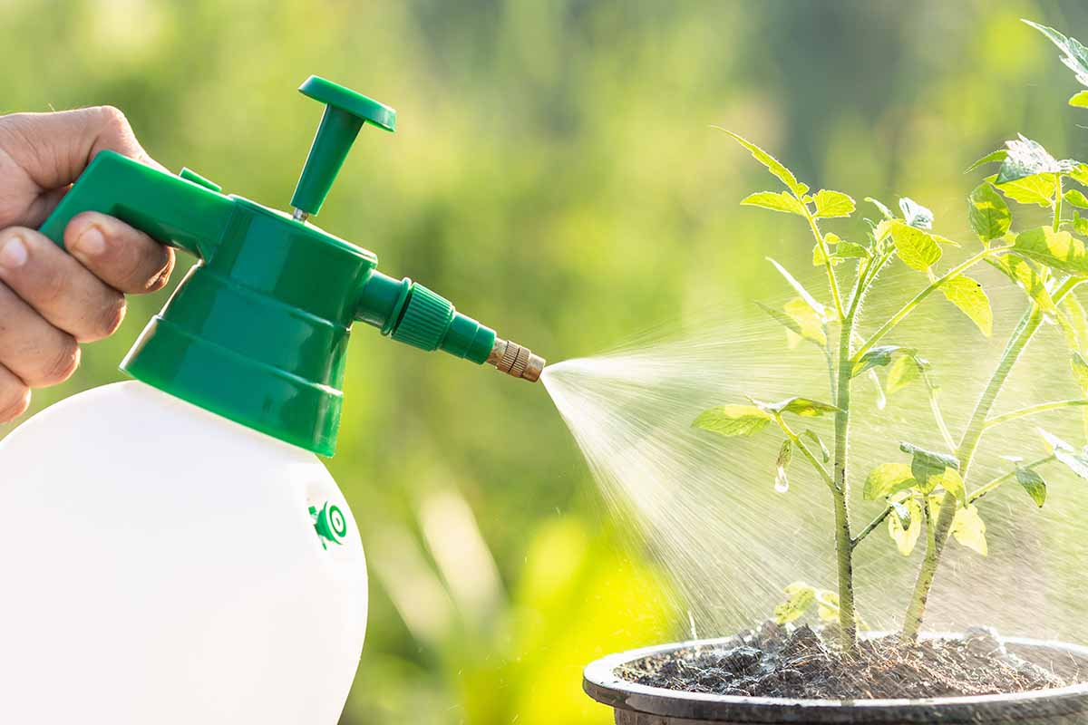 Liquid Fertilizers Market'