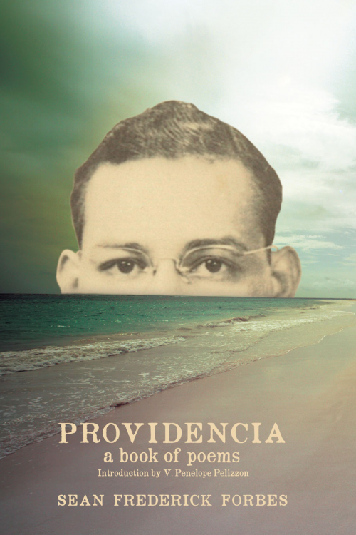 PROVIDENCIA book cover'