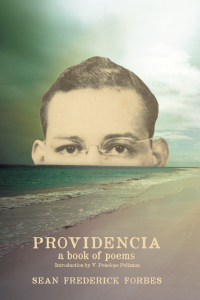 PROVIDENCIA book cover
