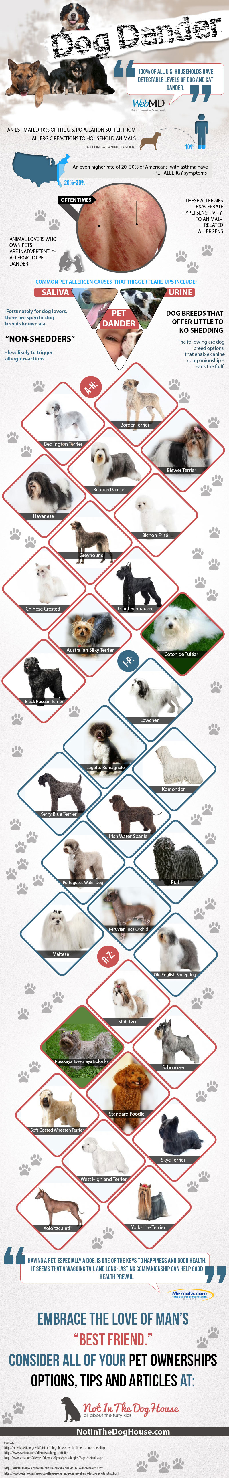 Notinthedoghouse.com'