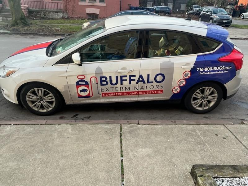 Buffalo Exterminators - Niagara Falls'