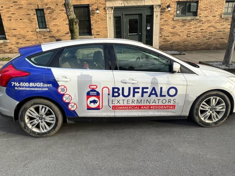 Buffalo Exterminators - Niagara Falls'