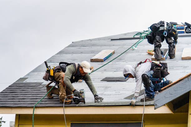 Company Logo For RainTree Roofing Calgary'